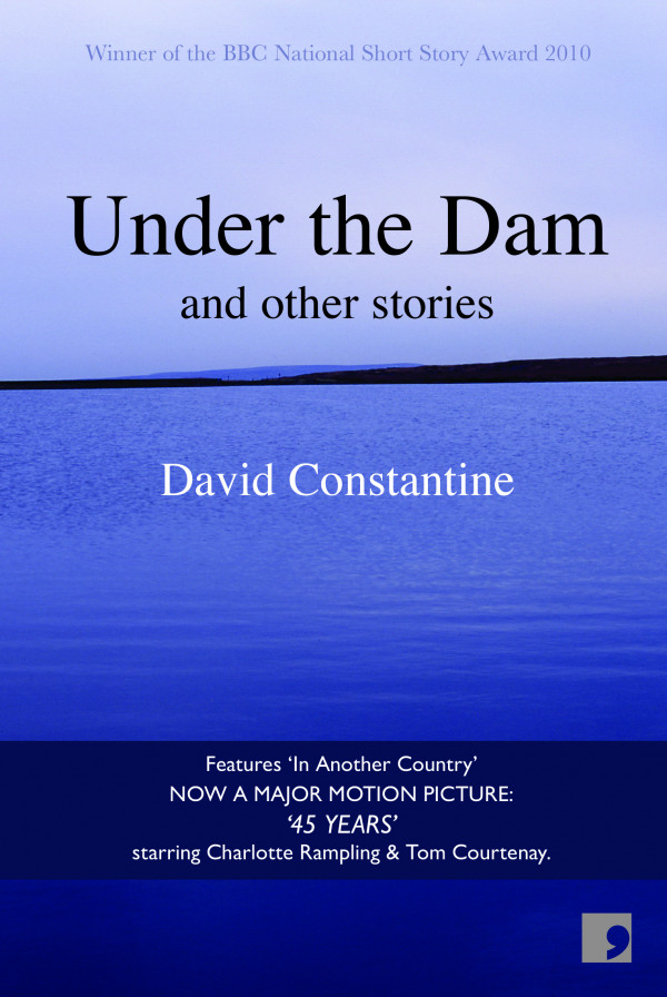  Under the Dam book cover